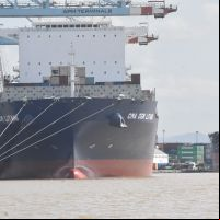 Empresa ligada à Portonave deve assumir o porto de Itajaí