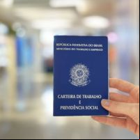 BC tem mais de 560 vagas de emprego abertas; confira 