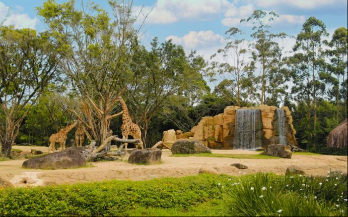 Parque explica que sigilo foi por medida de segurança (Foto: Arquivo/Divulgação)