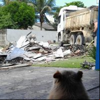 Asilo incendiado precisa de ajuda para ser reconstruído