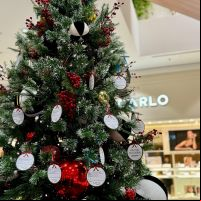 Balneário Shopping promove “Árvore Solidária” para arrecadar presentes de natal