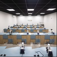 miniatura galeria