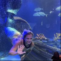 Sereia “desceu pra BC” para abrir comemorações dos cinco anos do Oceanic Aquarium  