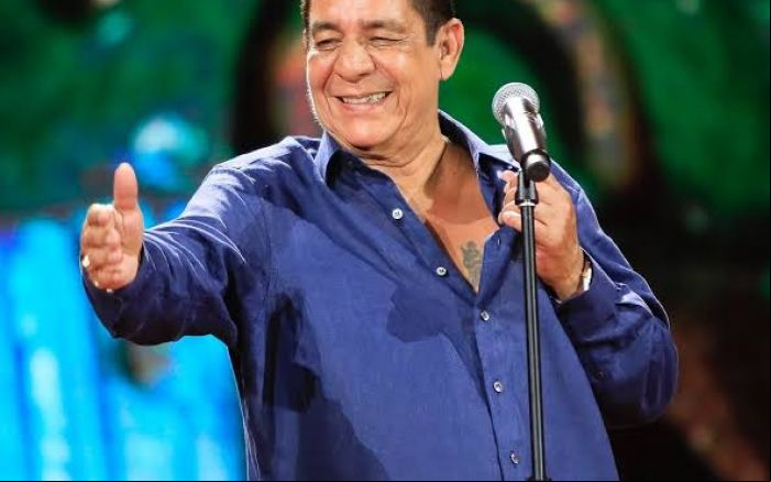 Show será a volta de Zeca Pagodinho após pausa na carreira (Foto: reprodução)