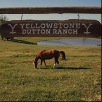 Cavalo Caramelo brilha em campanha da série Yellowstone  