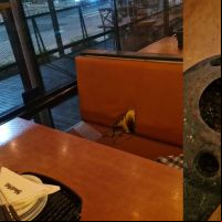 Mulher tem 30% do corpo queimado após explosão em restaurante