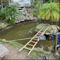 Lagoa do viveiro municipal a por manutenção