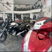 miniatura galeria