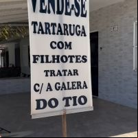 miniatura galeria