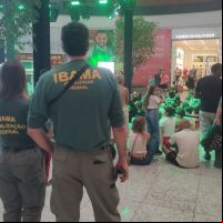 Diversão ou exploração? Especialistas analisam caso de animais expostos em shopping
