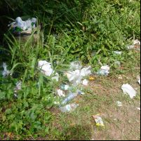 Ambiental diz que contrato com prefeitura não prevê limpeza das trilhas