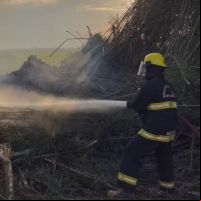 Incêndio em vegetação bloqueia a Jorge Lacerda