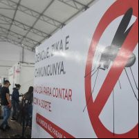 Primeira morte por dengue em 2025 é confirmada em Itajaí