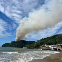 Incêndio atinge morro do Farol em Cabeçudas