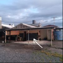 Comunidade controla incêndio em lavação em Camboriú