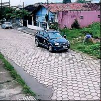 Abandono de doguinha e gatinhos revolta moradores