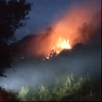 Fogo destruiu 1000 m² de vegetação na estrada da Ponta da Vigia