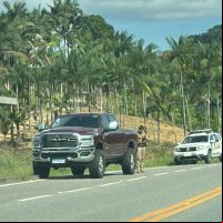PM recupera nove carros roubados de revenda de SC