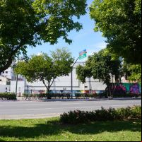 SC tem segundo pior índice de arborização do país