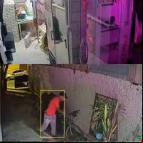 Ladrão é atacado por cachorros ao tentar invadir casas para furtar bicicletas