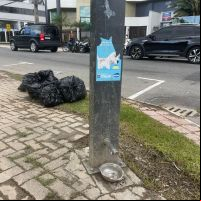 Bebedouros de dogs estão há um mês sem água na Beira Rio
