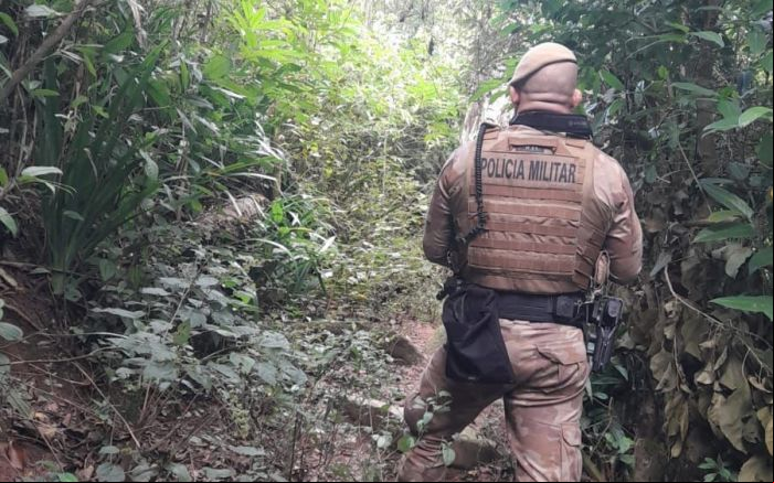 Número de ocorrências foi o mesmo registrado em 2024 (Foto: Divulgação/PMSC)