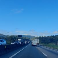 Começo de semana é marcado por trânsito lento na BR 101