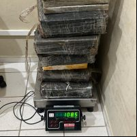 Mais de meia tonelada de maconha é apreendida pela PRF em SC