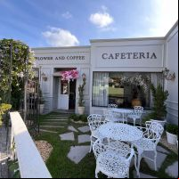 Flower and Coffee: onde flores e cafés se encontram