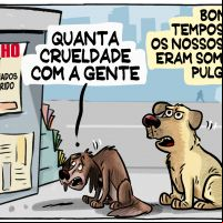 Maus-tratos aos animais