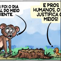 Meio Ambiente